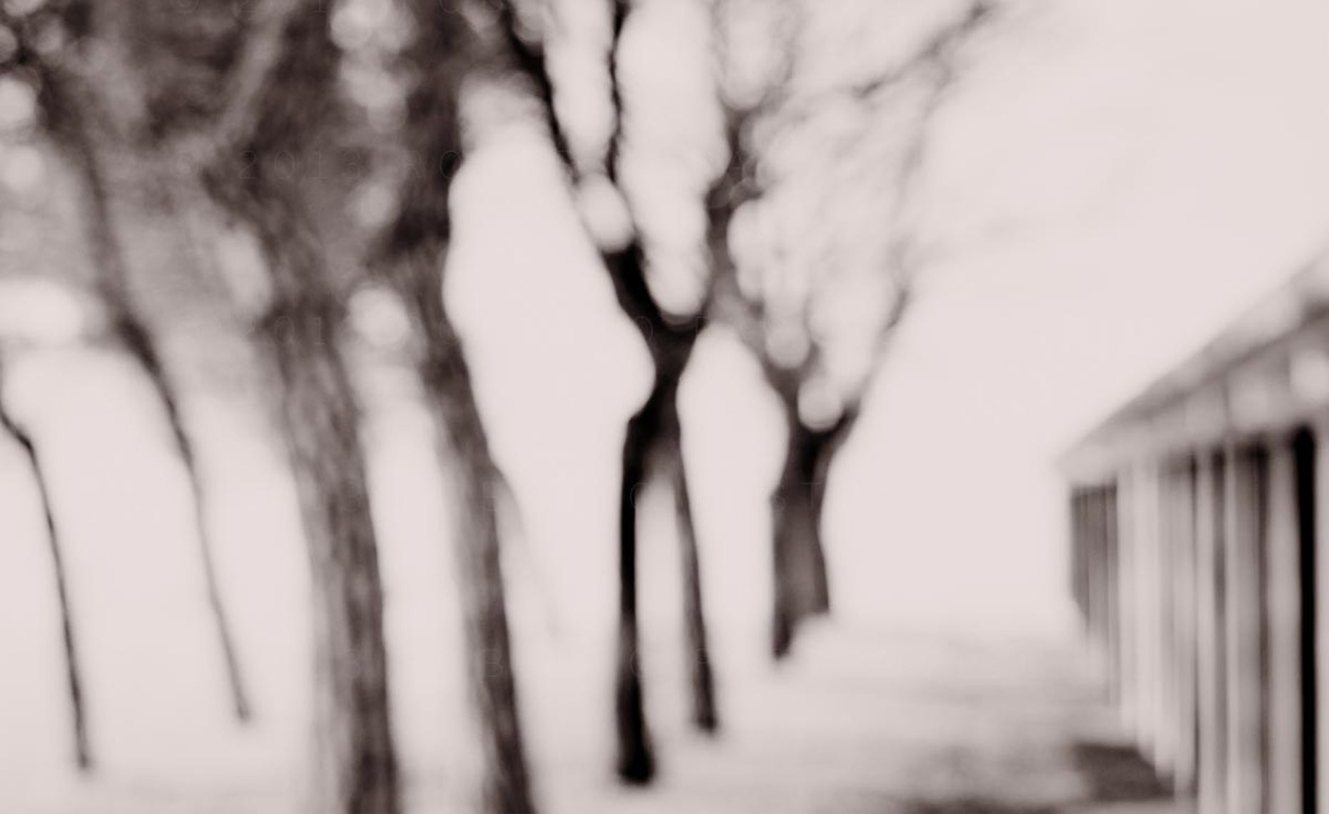 20130109_0003_082_v2-DUP1.jpg